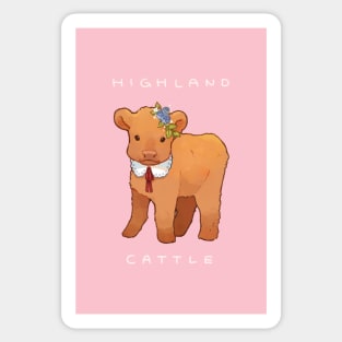 Highland Cattle with a lacey collar Sticker